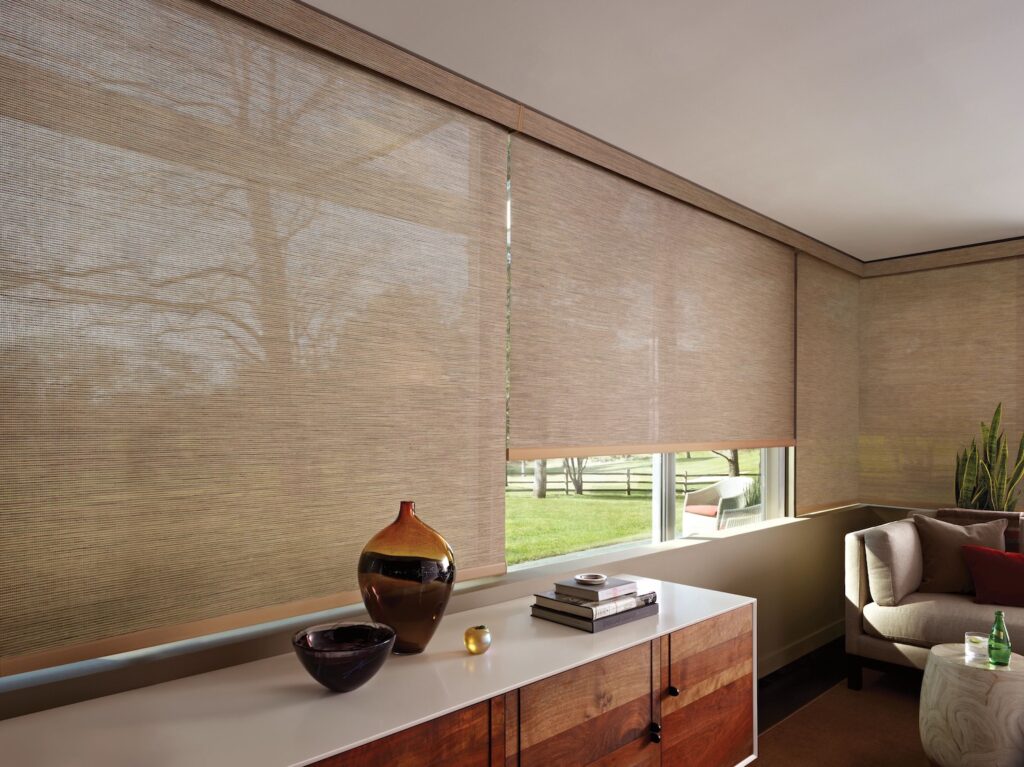 Hunter Douglas Decorative Roller Shades