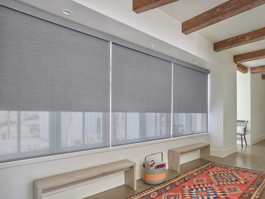 Hunter Douglas Decorative Roller Shades