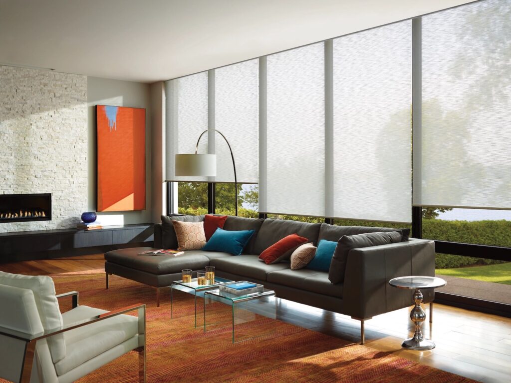 Hunter Douglas Decorative Roller Shades